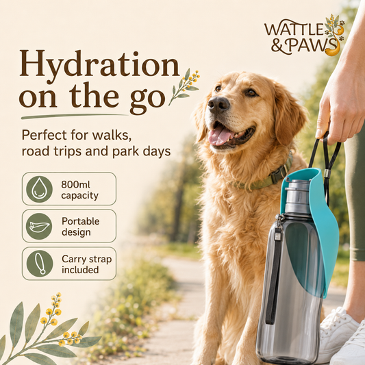 How to use the 800 mL portable dog water bottle