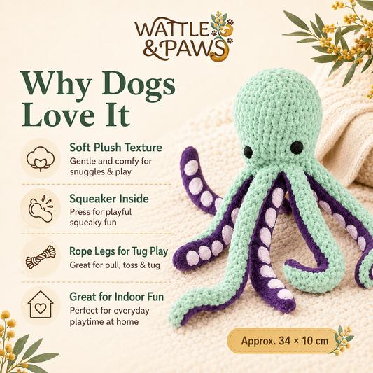 Features of the squeaky shell puzzle dog toy