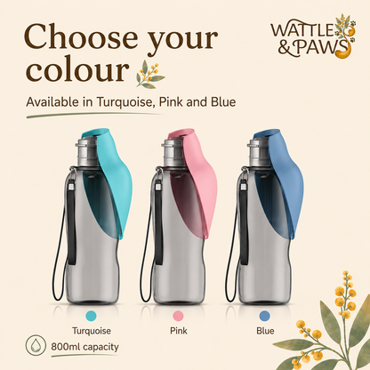 800 mL portable dog water bottle colour options