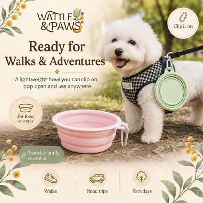 Collapsible travel bowl for pet food or water