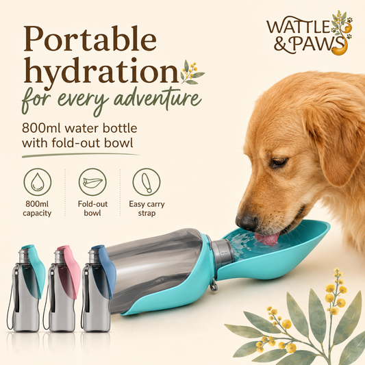 800 mL portable dog water bottle with fold-out bowl